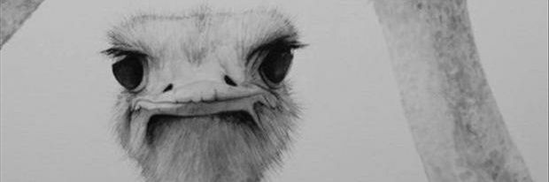 Miss_Dessray's profile banner image