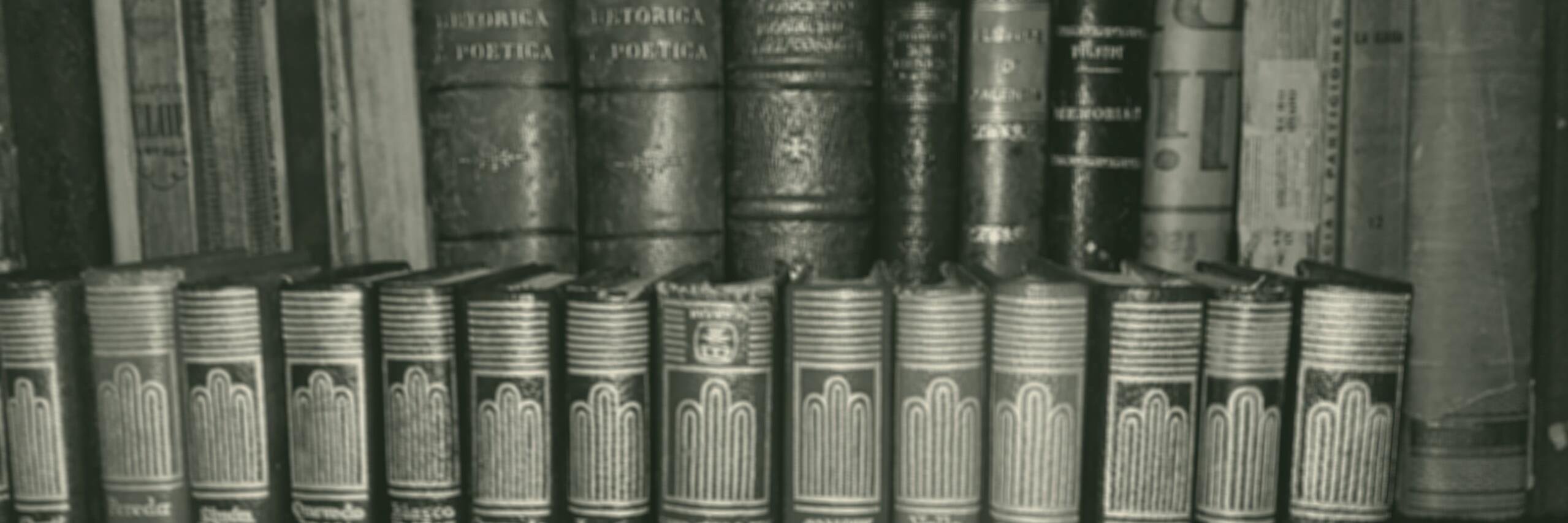 MichelleGonzPi's profile banner image
