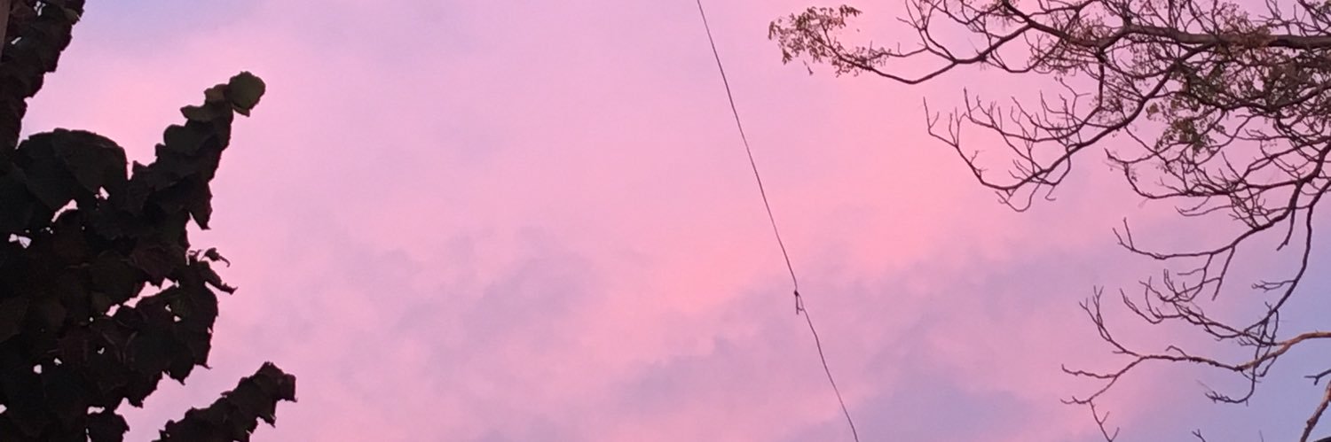 Guisernia's profile banner image