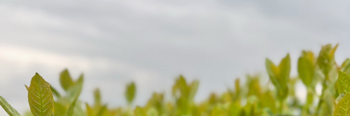 a_altinsoy's profile banner image