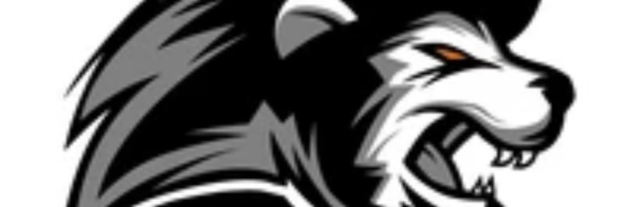 CoachZ_MHSPE's profile banner image