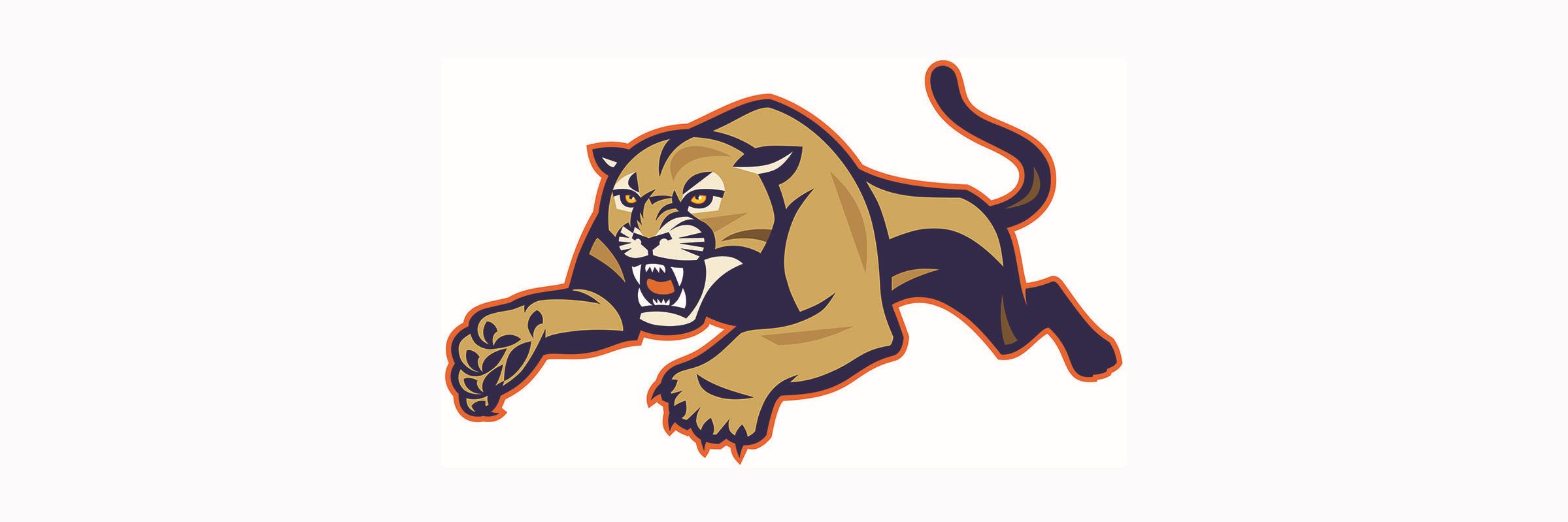 MJBHACougars banner