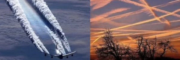 d11wne Profile Banner
