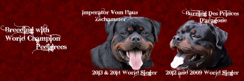 King Rottweilers banner