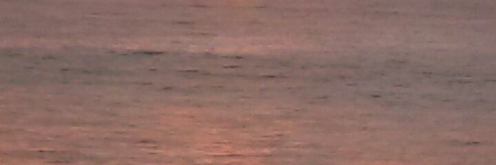 lrsaltos's profile banner image