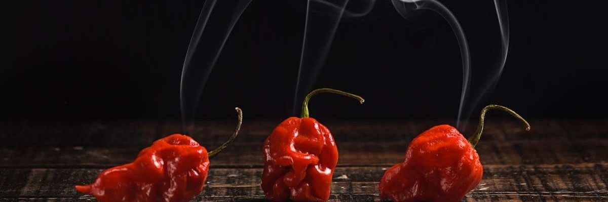 Love Chillies Fan banner