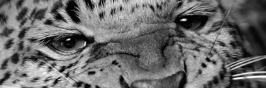 ErGuerra93's profile banner image