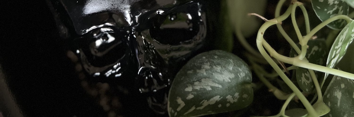 gntrymax's profile banner image