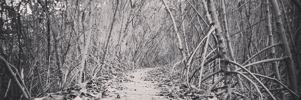 chananunt's profile banner image