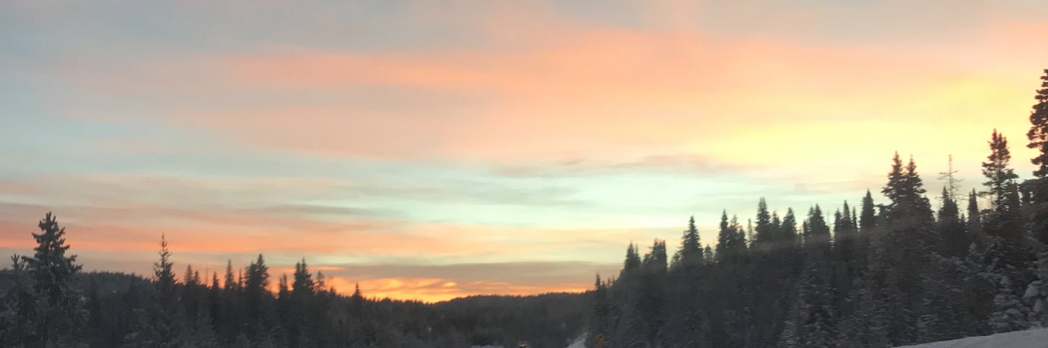 CaseHarrison's profile banner image