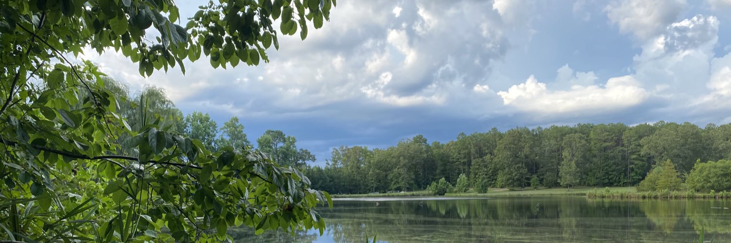 Chanda L. Cooper banner