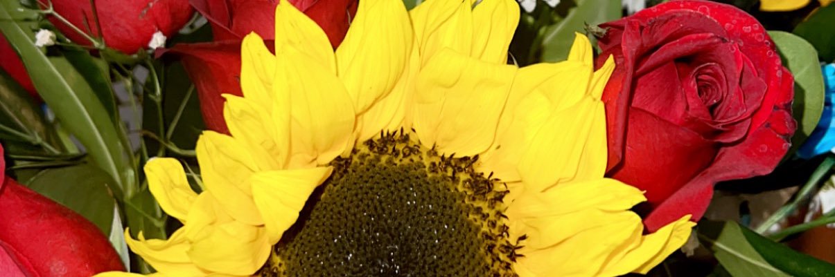 samnthamariee's profile banner image