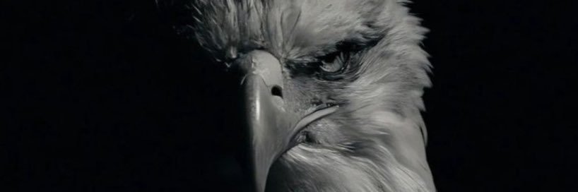 hrknnizb's profile banner image