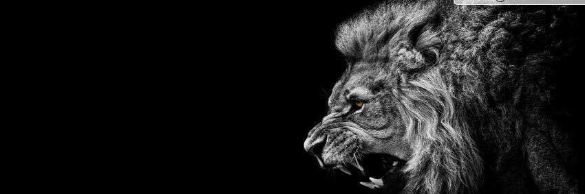 diegomandoT's profile banner image