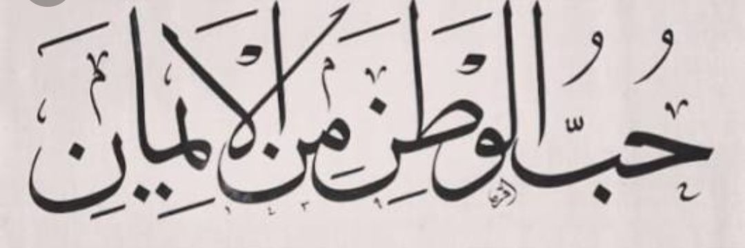 zlmsvnc55's profile banner image