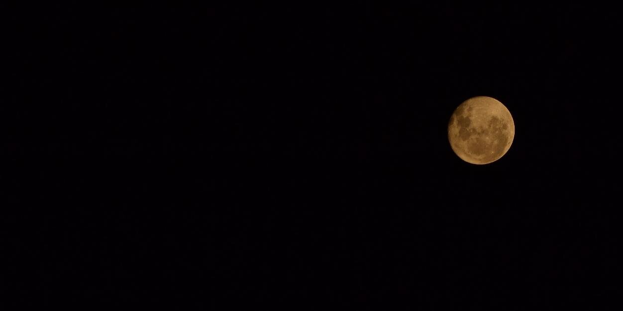 Ariadnavaccarin's profile banner image