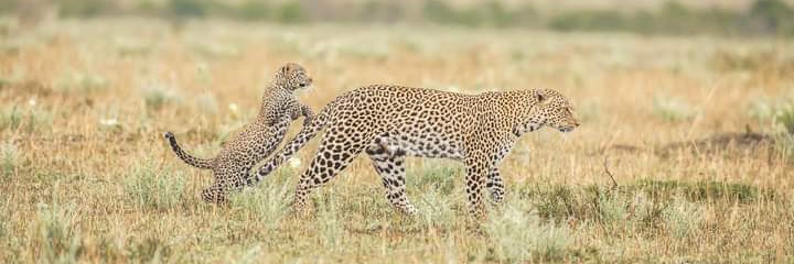 Don_Maleyo's profile banner image