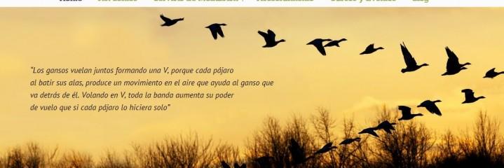 AsimediaMedia's profile banner image