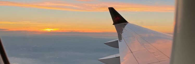 paulalee_'s profile banner image