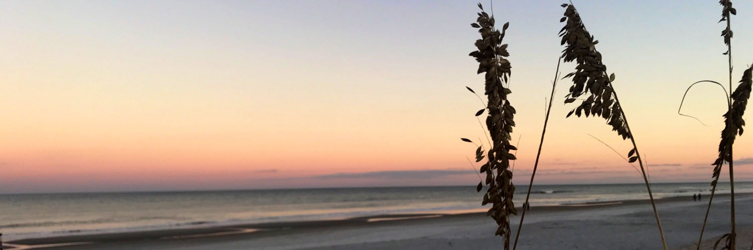 Cecelia Smith banner