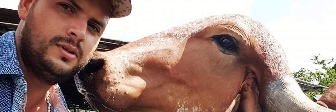 luismaespi's profile banner image
