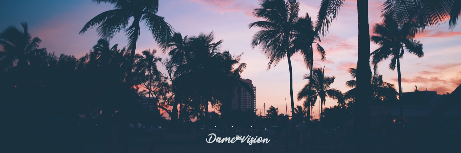 damevision's profile banner image