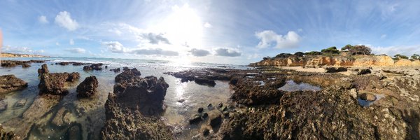 fidgettwidget Profile Banner