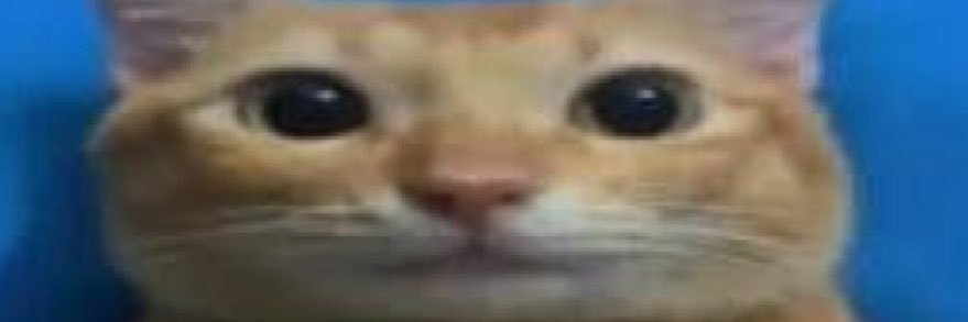 lmnasc's profile banner image