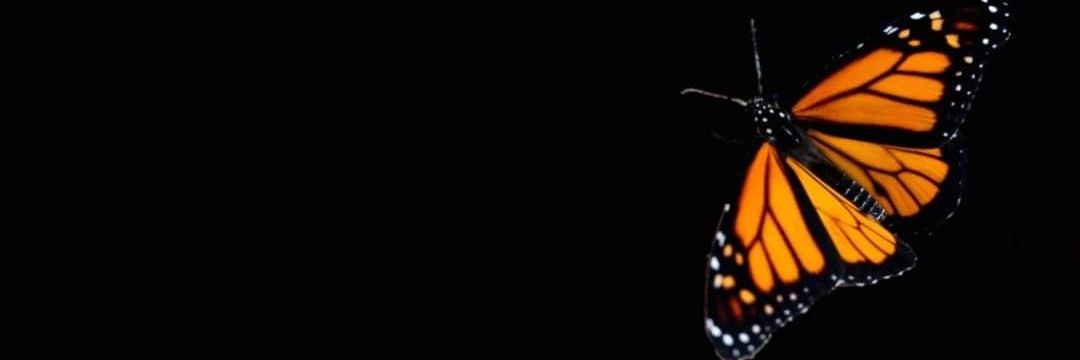 ALEXAGCIA12's profile banner image