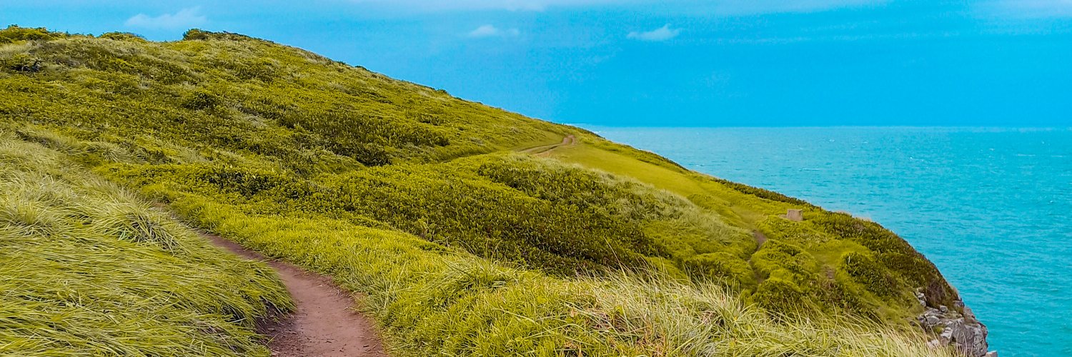 John Leimar  banner