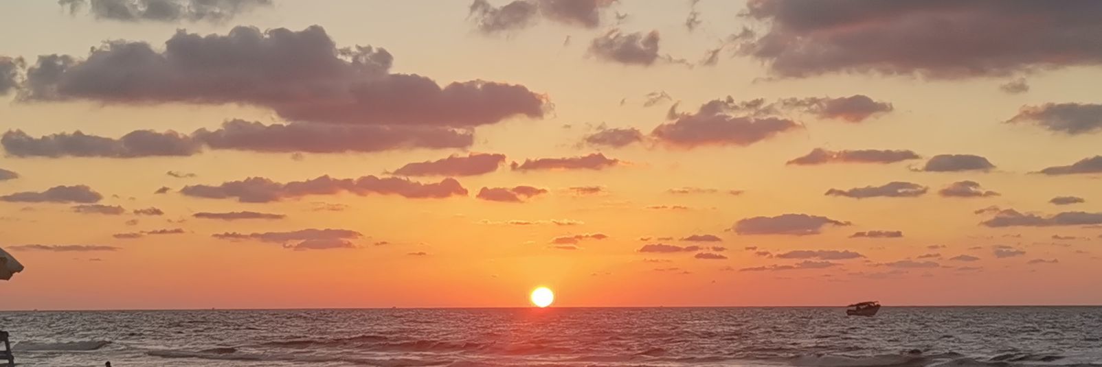 hazom87's profile banner image