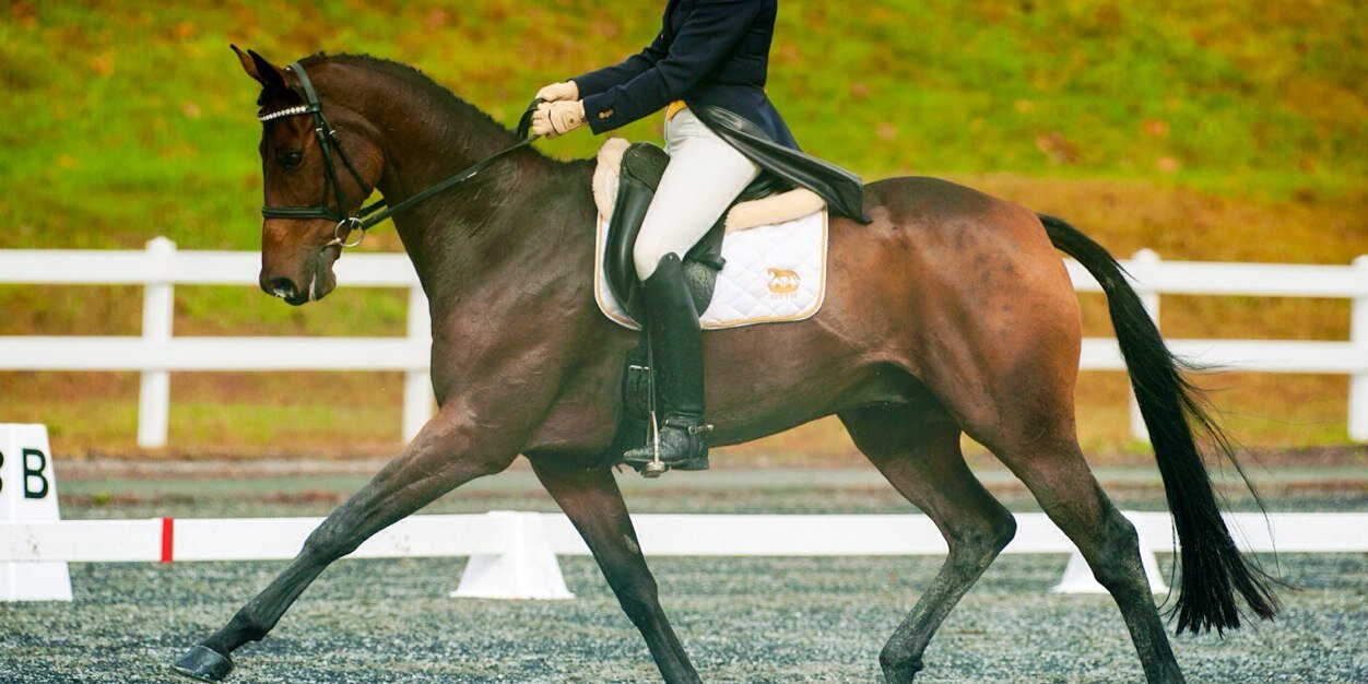 LAEventing's profile banner image
