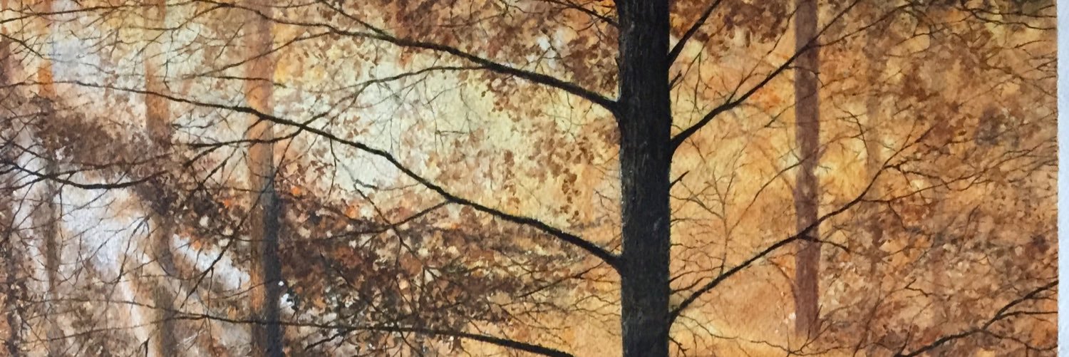 FellowshipSteve's profile banner image