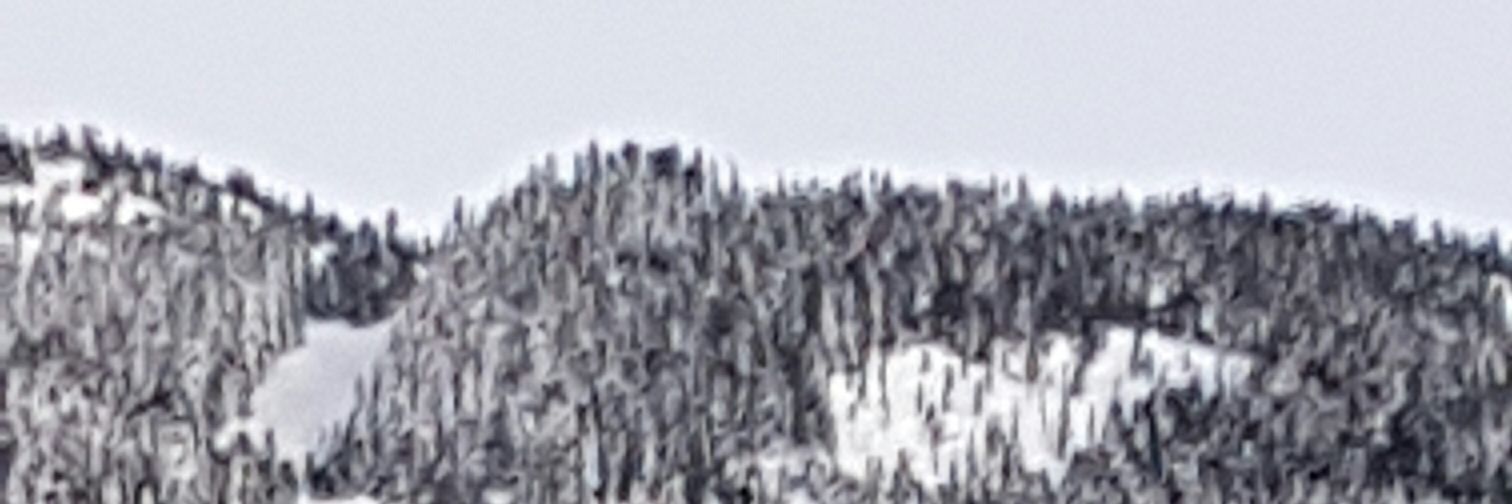 bec_becbol's profile banner image