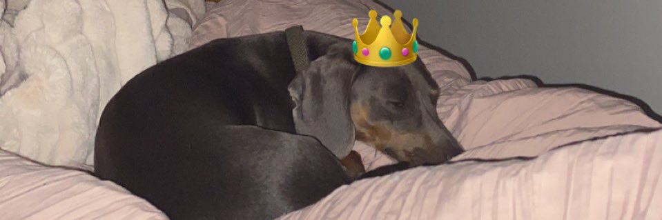 lucycutlerr's profile banner image