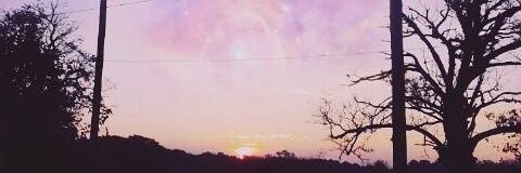 Mikydolly's profile banner image
