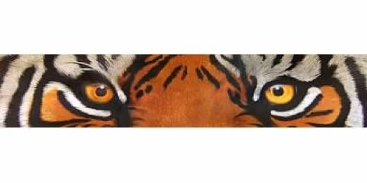 JodiPonwith's profile banner image