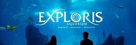 Ards Peninsula Tourism banner