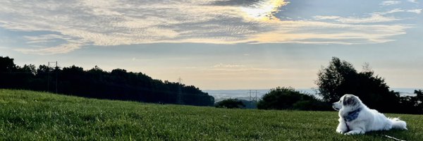 BFQuinn Profile Banner