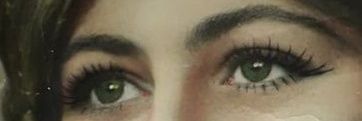 HAniFE banner