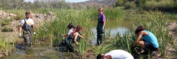 gnfreixe Profile Banner