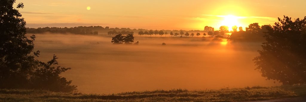 GAvdW's profile banner image