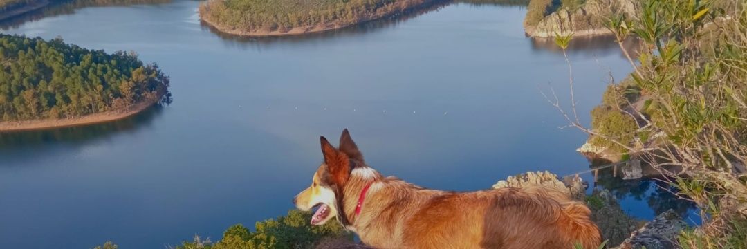 saryzzs's profile banner image