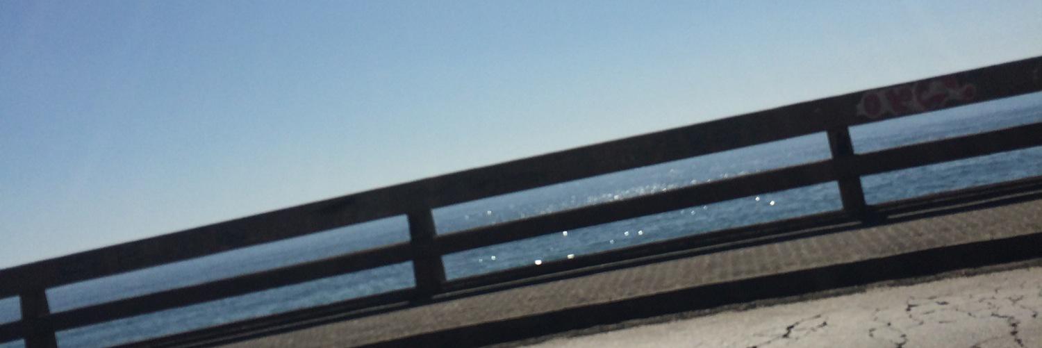 Daisy____'s profile banner image