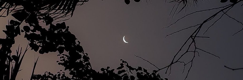 aksak_melis's profile banner image