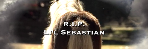 kellynotgreen's profile banner image