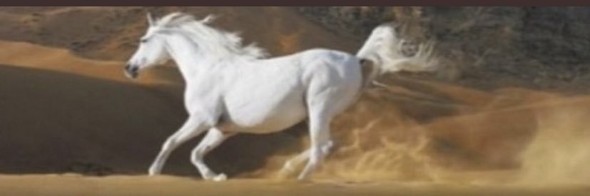 HendSeed's profile banner image
