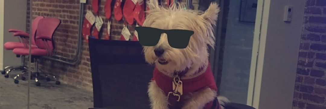 BillyHuddles's profile banner image