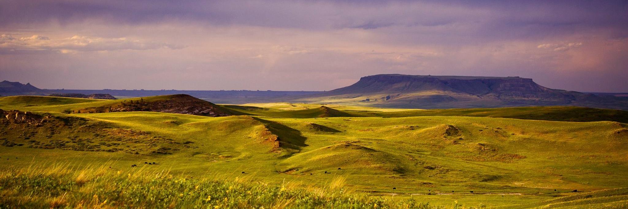 MontanaMagazine's profile banner image