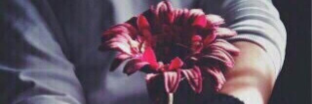 VIP_F15_A's profile banner image
